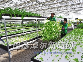设施农业