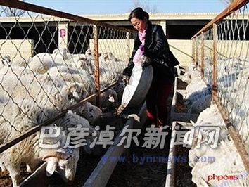 胜丰镇养殖扶贫项目