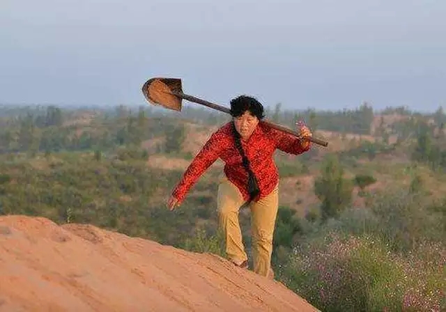 640.webp (1)