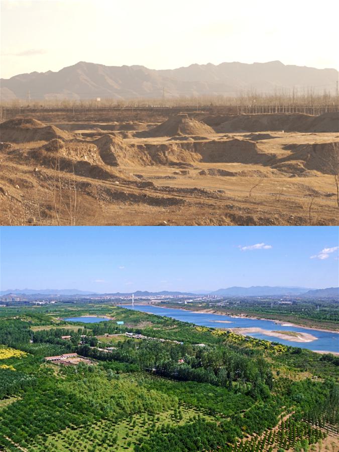 我们一起种未来——写在世界防治荒漠化和干旱日