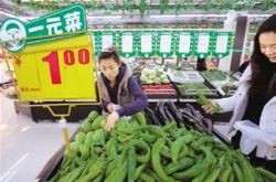 包头本地大棚菜上市一元菜重出江湖