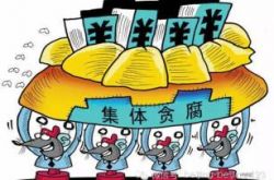 村支书、主任与会计“”集体“”贪污救灾款