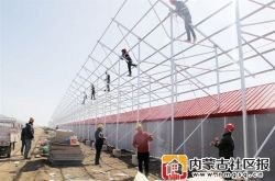 香岛现代（光伏）农业产业园区项目落户乌前旗
