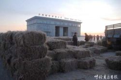 蒙古国饲草将为内蒙古牲畜添新口味