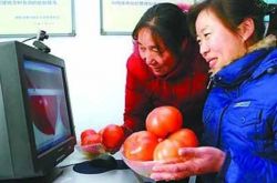 乌海农区居民乐享“农家淘宝”