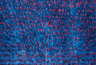 1679727243689048