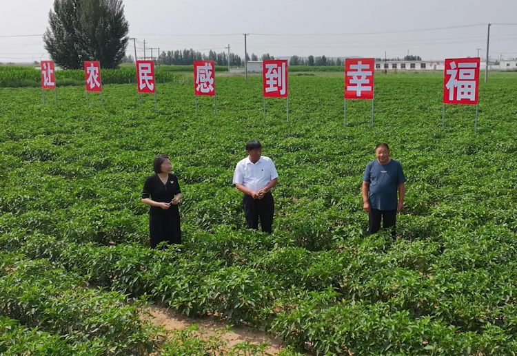 达拉特旗沙湾子嘎查：昔日&ldquo;零元村&rdquo;如何蝶变苏木&ldquo;第一村&rdquo;？_fororder_图片1